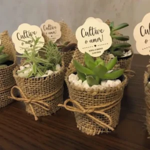 Tag de papel suspensa com formato geométrico e furo superior, exibindo a frase Cultive o Amor em lettering delicado ao lado de ilustrações de raminhos de plantas.
