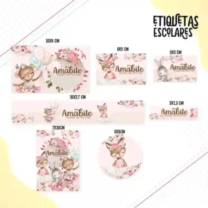Kit de etiqueta escolar personalizada no tema Ballet no formato Studio em alta resolução para cadernos e livros.